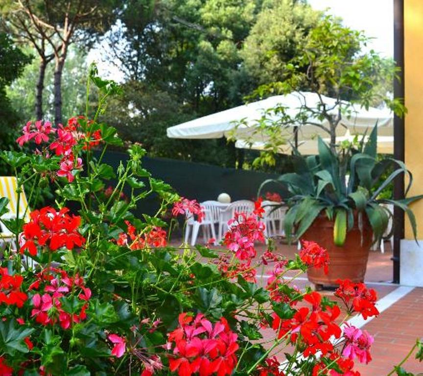 Hotel Villa Fiorisella マリーナ・ディ・マッサ エクステリア 写真